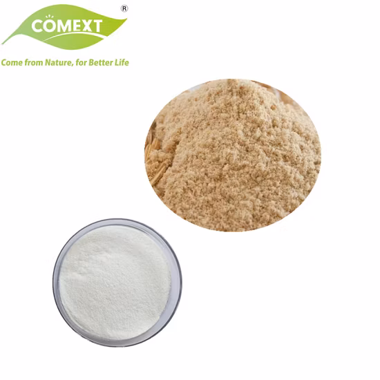Rice Bran Extract Cosmetic Water-Soluble Raw Materials Ceramide Free Sample